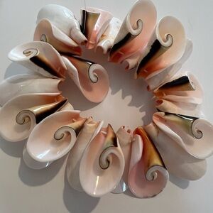 Natural Strombus or Triton Conch Shells Bracelet